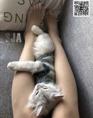 日韩三级伦理在线观看_1080P神马影院手机在线