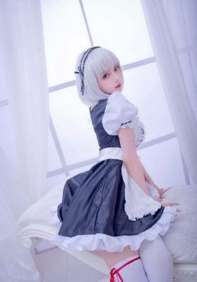 一仆二主全集免费观看完整版_欧美电影在线
